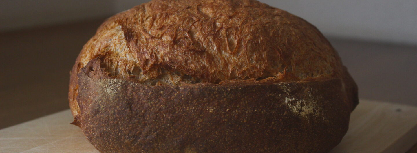 全粒粉パン